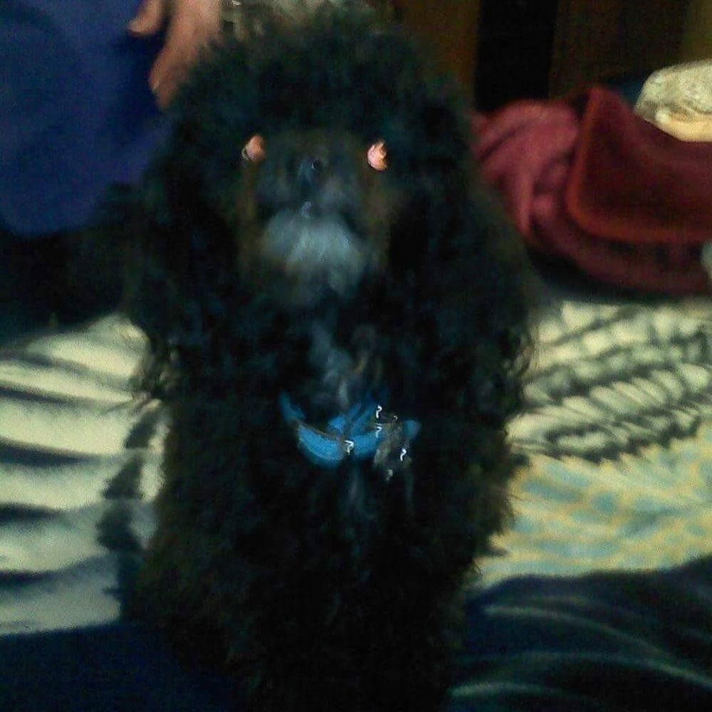 Meet your Posher, Kandace